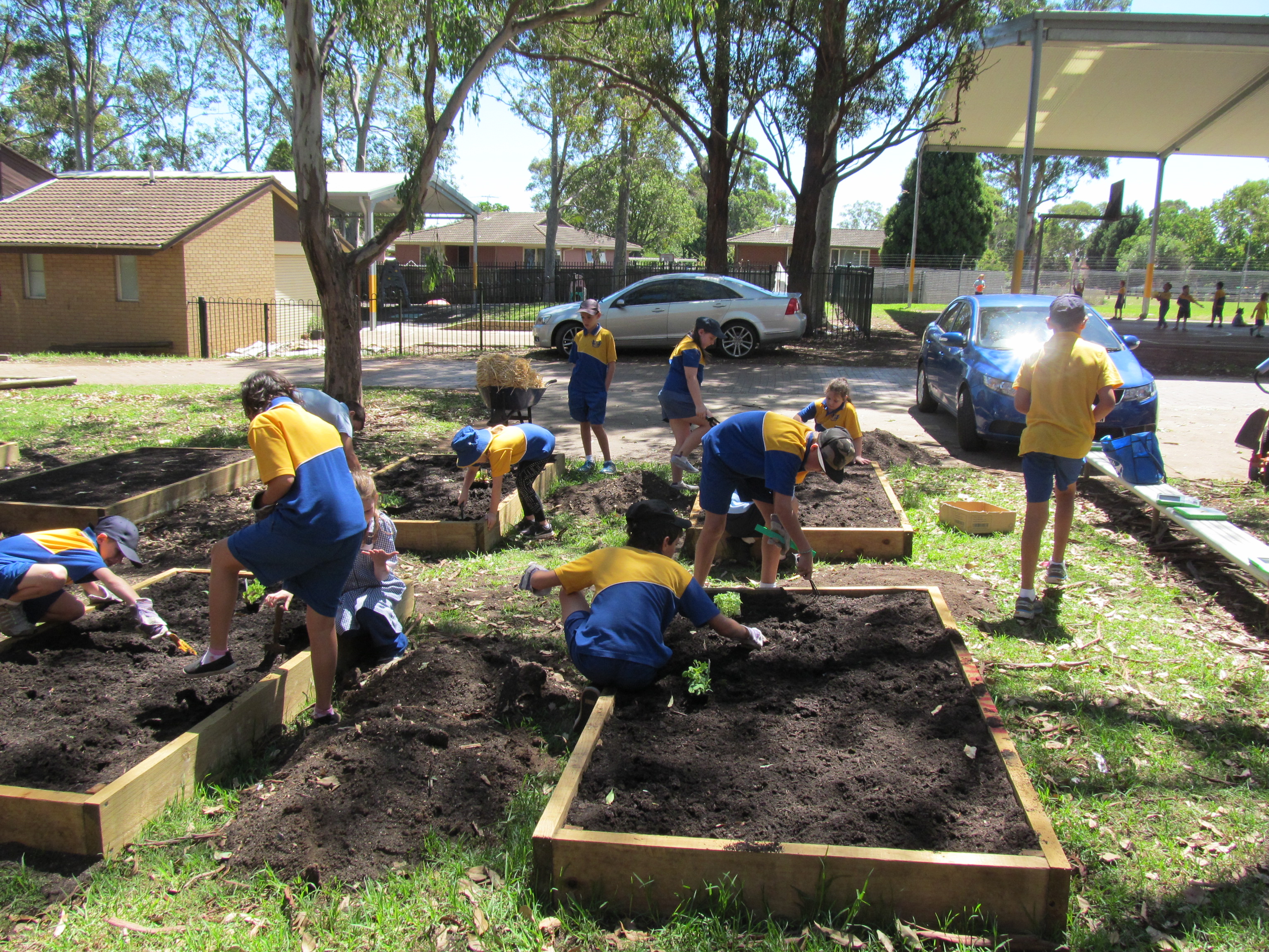 The children are busy gardening.